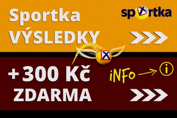 SYNOT TIP Šťastná 10